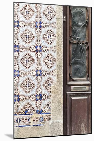Detail of Traditional Painted Ceramic Azulejos Tiles and Doorway, Ilhavo, Beira Litoral, Portugal-Julian Castle-Mounted Photo