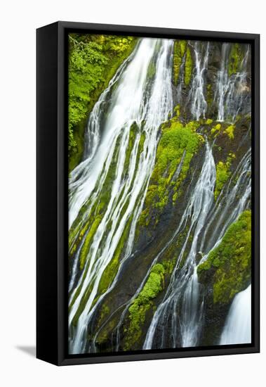 Detail, Panther Creek Falls, Carson, Washington, Usa-Michel Hersen-Framed Premier Image Canvas