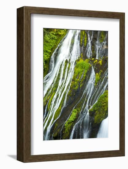 Detail, Panther Creek Falls, Carson, Washington, Usa-Michel Hersen-Framed Photographic Print