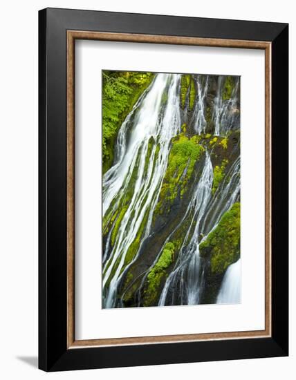 Detail, Panther Creek Falls, Carson, Washington, Usa-Michel Hersen-Framed Photographic Print