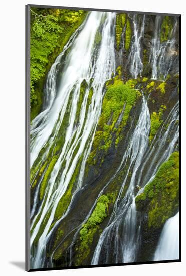 Detail, Panther Creek Falls, Carson, Washington, Usa-Michel Hersen-Mounted Photographic Print