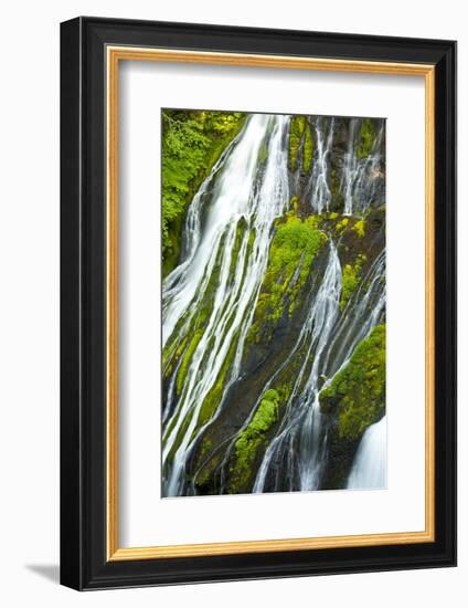 Detail, Panther Creek Falls, Carson, Washington, Usa-Michel Hersen-Framed Photographic Print