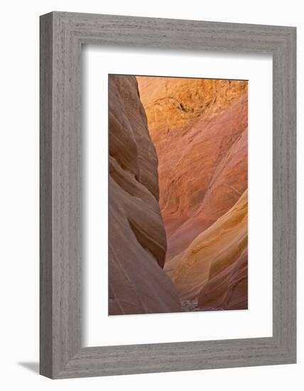 Detail, Pink Canyon, Valley of Fire State Park, Nevada, USA-Michel Hersen-Framed Photographic Print