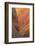 Detail, Pink Canyon, Valley of Fire State Park, Nevada, USA-Michel Hersen-Framed Photographic Print