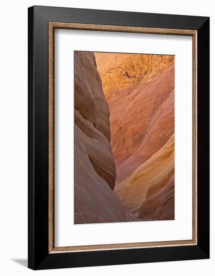 Detail, Pink Canyon, Valley of Fire State Park, Nevada, USA-Michel Hersen-Framed Photographic Print