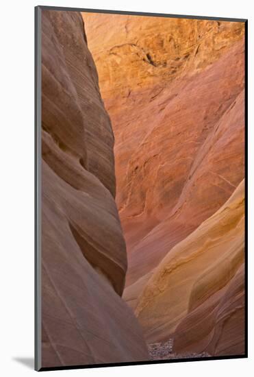 Detail, Pink Canyon, Valley of Fire State Park, Nevada, USA-Michel Hersen-Mounted Photographic Print