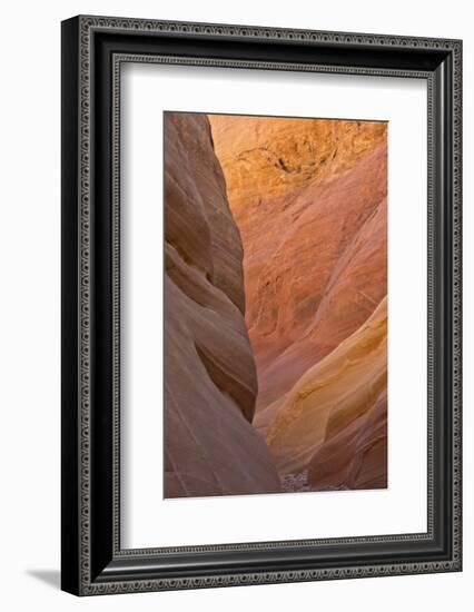 Detail, Pink Canyon, Valley of Fire State Park, Nevada, USA-Michel Hersen-Framed Photographic Print