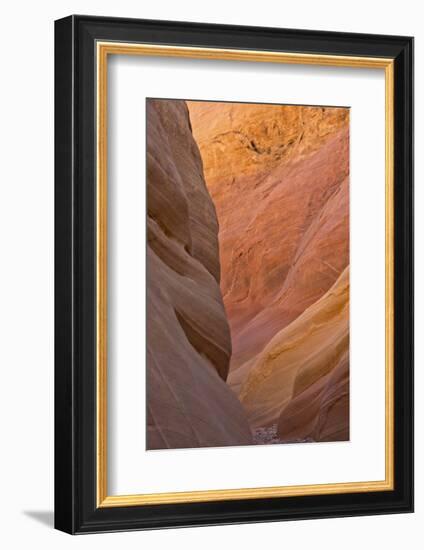 Detail, Pink Canyon, Valley of Fire State Park, Nevada, USA-Michel Hersen-Framed Photographic Print