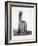 Detail Showing the Pharoah Amenhotep Iii Enthroned from the Colossi of Memnon at Luxor-null-Framed Photographic Print