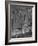 Detail, the Capitol Theatre, New York City, 1925-null-Framed Photographic Print