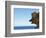 Detail view of rocks jutting out into the ocean-null-Framed Photographic Print