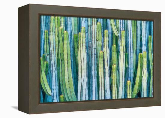 DETAIL VIEW OF THE CARDON CACTUS IN SUMMER WITH RICH BLUE GREEN AND TORQOUISE COLORS-ED Reardon-Framed Premier Image Canvas