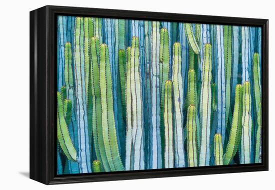 DETAIL VIEW OF THE CARDON CACTUS IN SUMMER WITH RICH BLUE GREEN AND TORQOUISE COLORS-ED Reardon-Framed Premier Image Canvas