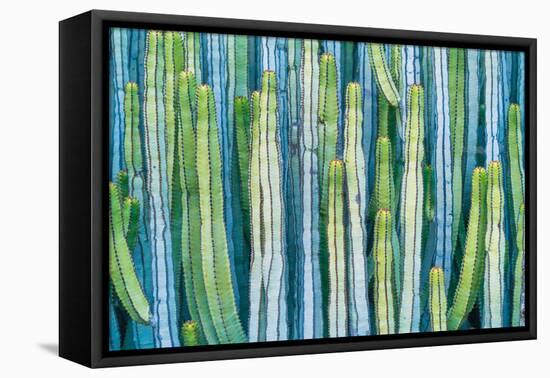 DETAIL VIEW OF THE CARDON CACTUS IN SUMMER WITH RICH BLUE GREEN AND TORQOUISE COLORS-ED Reardon-Framed Premier Image Canvas