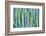 DETAIL VIEW OF THE CARDON CACTUS IN SUMMER WITH RICH BLUE GREEN AND TORQOUISE COLORS-ED Reardon-Framed Photographic Print