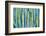 DETAIL VIEW OF THE CARDON CACTUS IN SUMMER WITH RICH BLUE GREEN AND TORQOUISE COLORS-ED Reardon-Framed Photographic Print