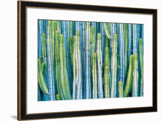 DETAIL VIEW OF THE CARDON CACTUS IN SUMMER WITH RICH BLUE GREEN AND TORQOUISE COLORS-ED Reardon-Framed Photographic Print