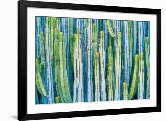 DETAIL VIEW OF THE CARDON CACTUS IN SUMMER WITH RICH BLUE GREEN AND TORQOUISE COLORS-ED Reardon-Framed Photographic Print