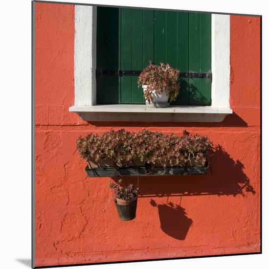 Detail: Window with Green Shutters-Mike Burton-Mounted Photographic Print