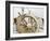 Detail-null-Framed Photographic Print