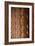 Detailed Columns I-Erin Berzel-Framed Photographic Print