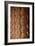 Detailed Columns I-Erin Berzel-Framed Photographic Print