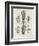 Detailed Diagram of the Brain and Spine-null-Framed Photographic Print