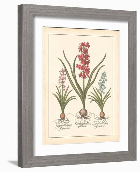 Detailed Floral I-Artique Studio-Framed Art Print