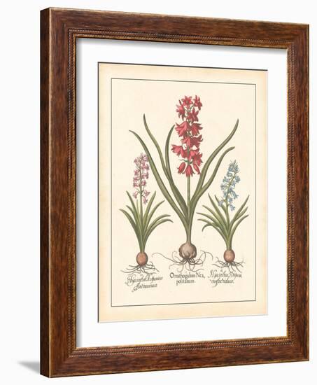 Detailed Floral I-Artique Studio-Framed Art Print