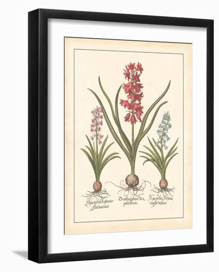 Detailed Floral I-Artique Studio-Framed Art Print