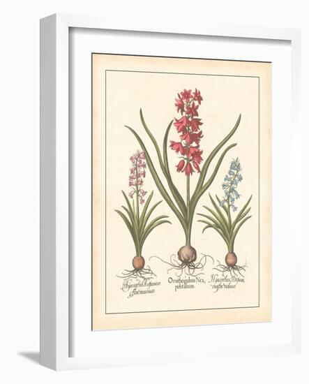 Detailed Floral I-Artique Studio-Framed Art Print