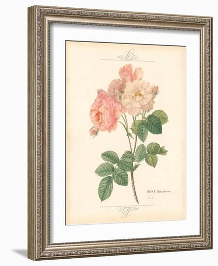 Detailed Floral II-Artique Studio-Framed Art Print