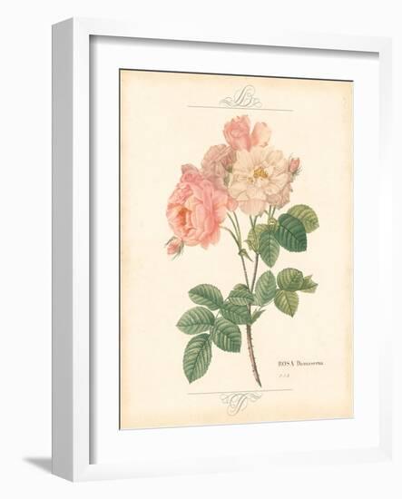 Detailed Floral II-Artique Studio-Framed Art Print