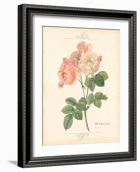 Detailed Floral II-Artique Studio-Framed Art Print