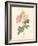 Detailed Floral II-Artique Studio-Framed Art Print