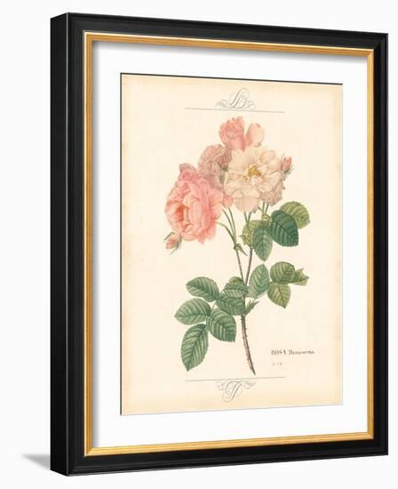 Detailed Floral II-Artique Studio-Framed Art Print