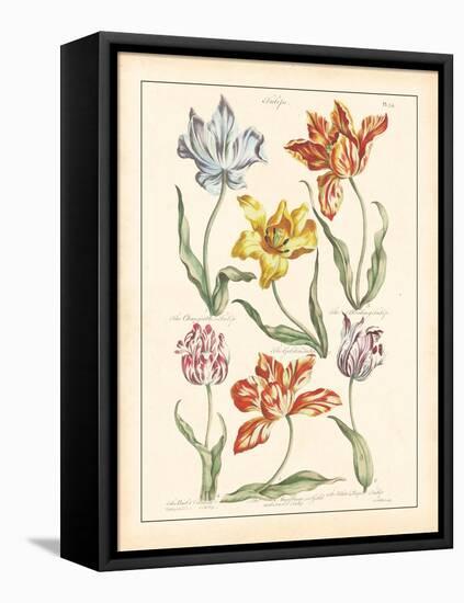 Detailed Floral IV-Artique Studio-Framed Stretched Canvas