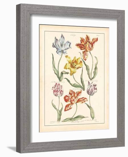 Detailed Floral IV-Artique Studio-Framed Art Print