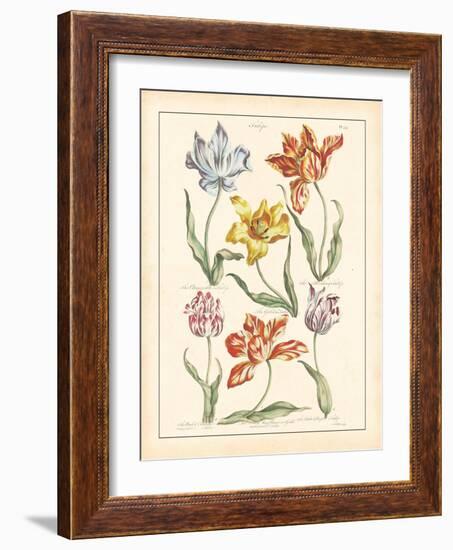 Detailed Floral IV-Artique Studio-Framed Art Print