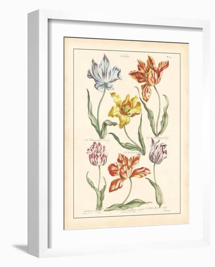 Detailed Floral IV-Artique Studio-Framed Art Print