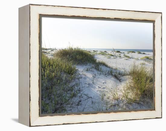 Detailed Wide Angle Shot of Pristine White Sand Dunes and Native Shoreline Plants in Pensacola Flor-forestpath-Framed Premier Image Canvas