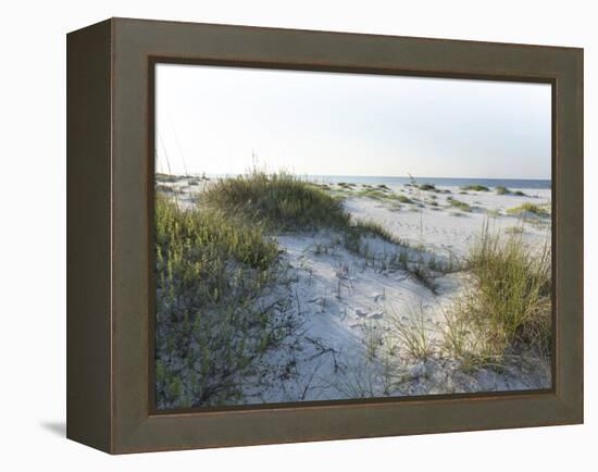 Detailed Wide Angle Shot of Pristine White Sand Dunes and Native Shoreline Plants in Pensacola Flor-forestpath-Framed Premier Image Canvas