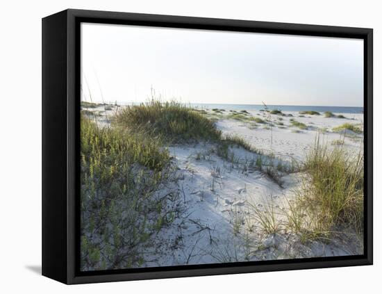 Detailed Wide Angle Shot of Pristine White Sand Dunes and Native Shoreline Plants in Pensacola Flor-forestpath-Framed Premier Image Canvas