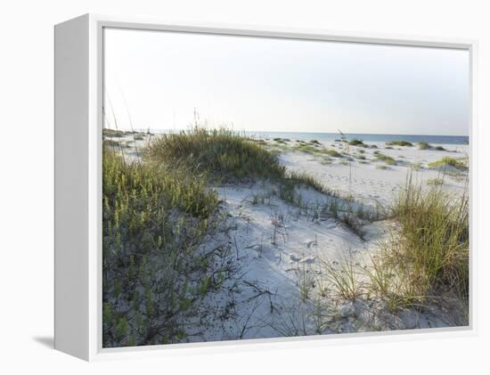 Detailed Wide Angle Shot of Pristine White Sand Dunes and Native Shoreline Plants in Pensacola Flor-forestpath-Framed Premier Image Canvas