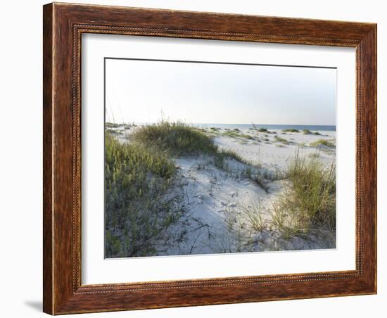 Detailed Wide Angle Shot of Pristine White Sand Dunes and Native Shoreline Plants in Pensacola Flor-forestpath-Framed Photographic Print