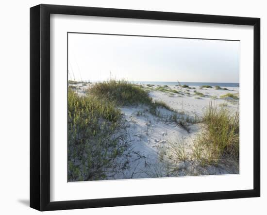 Detailed Wide Angle Shot of Pristine White Sand Dunes and Native Shoreline Plants in Pensacola Flor-forestpath-Framed Photographic Print