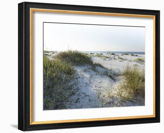 Detailed Wide Angle Shot of Pristine White Sand Dunes and Native Shoreline Plants in Pensacola Flor-forestpath-Framed Photographic Print