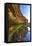 Details and Reflection of the Cliffside, San Diego, Ca-Andrew Shoemaker-Framed Premier Image Canvas