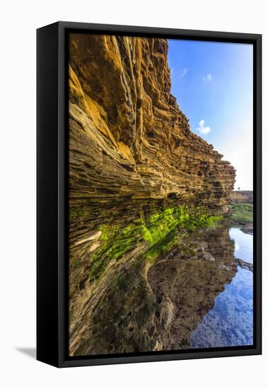 Details and Reflection of the Cliffside, San Diego, Ca-Andrew Shoemaker-Framed Premier Image Canvas