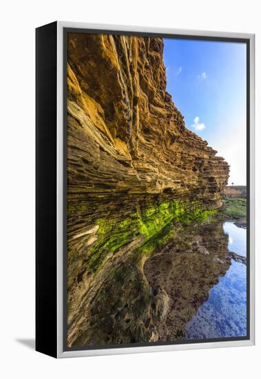 Details and Reflection of the Cliffside, San Diego, Ca-Andrew Shoemaker-Framed Premier Image Canvas